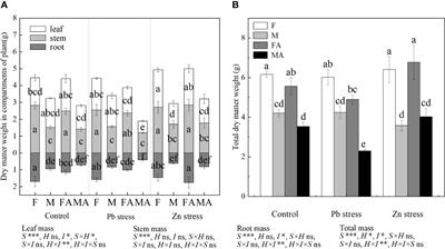 Physiological response and phytoremediation potential of dioecious Hippophae rhamnoides inoculated with arbuscular mycorrhizal fungi to Pb and Zn pollution